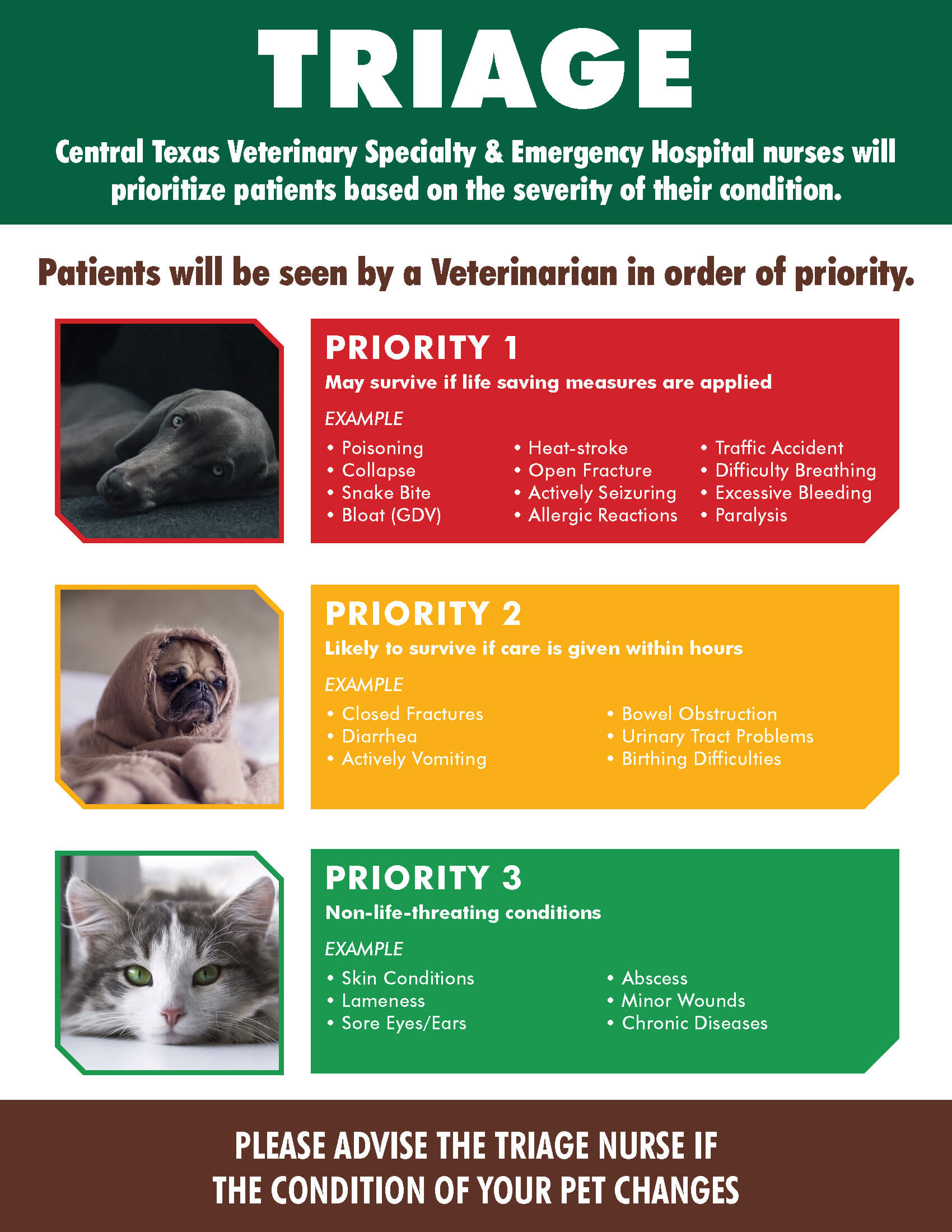 Pet emergency patient prioritization